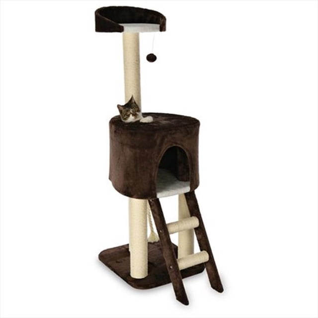 TRIXIE Produits pour Animaux 44460 Arbre à Chat Rolanda