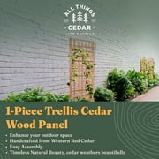 All Things Cedar TS33 Trellis Panel - Cedar Garden Trellis for Climbing Plants
