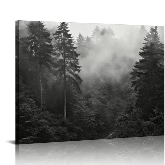 JRXY Black and White Misty Foggy Mountain Landscape Canvas Wall Art - Breathtaking Scene of Fir Forest in Hipster Style Picture Prints Rustic Decor for Home Office 20x16 Inches Picture 2