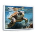 thumbnail image 2 of Designart "Coastal Scene In Watercolor" Animals Turtle Floater Framed Wall Art Prints, 2 of 5