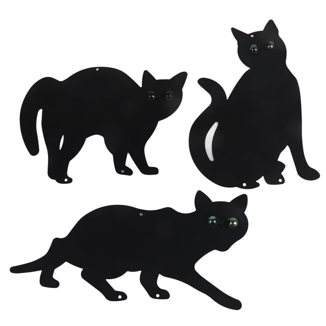 3 ahuyentadores mentales para gatos, control de plagas, deshazte de las plagas, ahuyentador de jardín