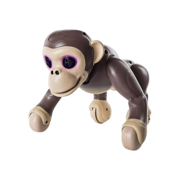 Zoomer - Chimpanzé - - - - - - - - - - - - - - - - - - -