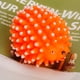 thumbnail image 5 of Mascota Perro Sonido Quack Chew Squeaky Squeaker Jugar Game Juguetes Caliente - tal se describe Fernando masticar perro Mordedura de juguete, 5 of 7