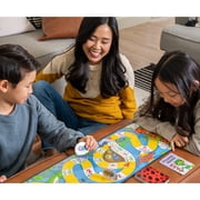 Zobmondo the Ladybug Game