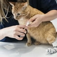 thumbnail image 7 of LotFancy Cat Dog Nail Clippers with Safety Guard, Stainless Steel Cat Claw Clippers, 7 of 7