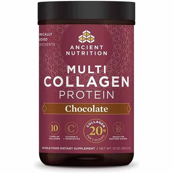 Ancient Nutrition - Protéine de Collagène Multi - Chocolat, 286g