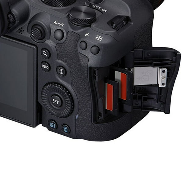 Canon EOS R6 Mark II Mirrorless Camera with RF 24-105mm + EF 75