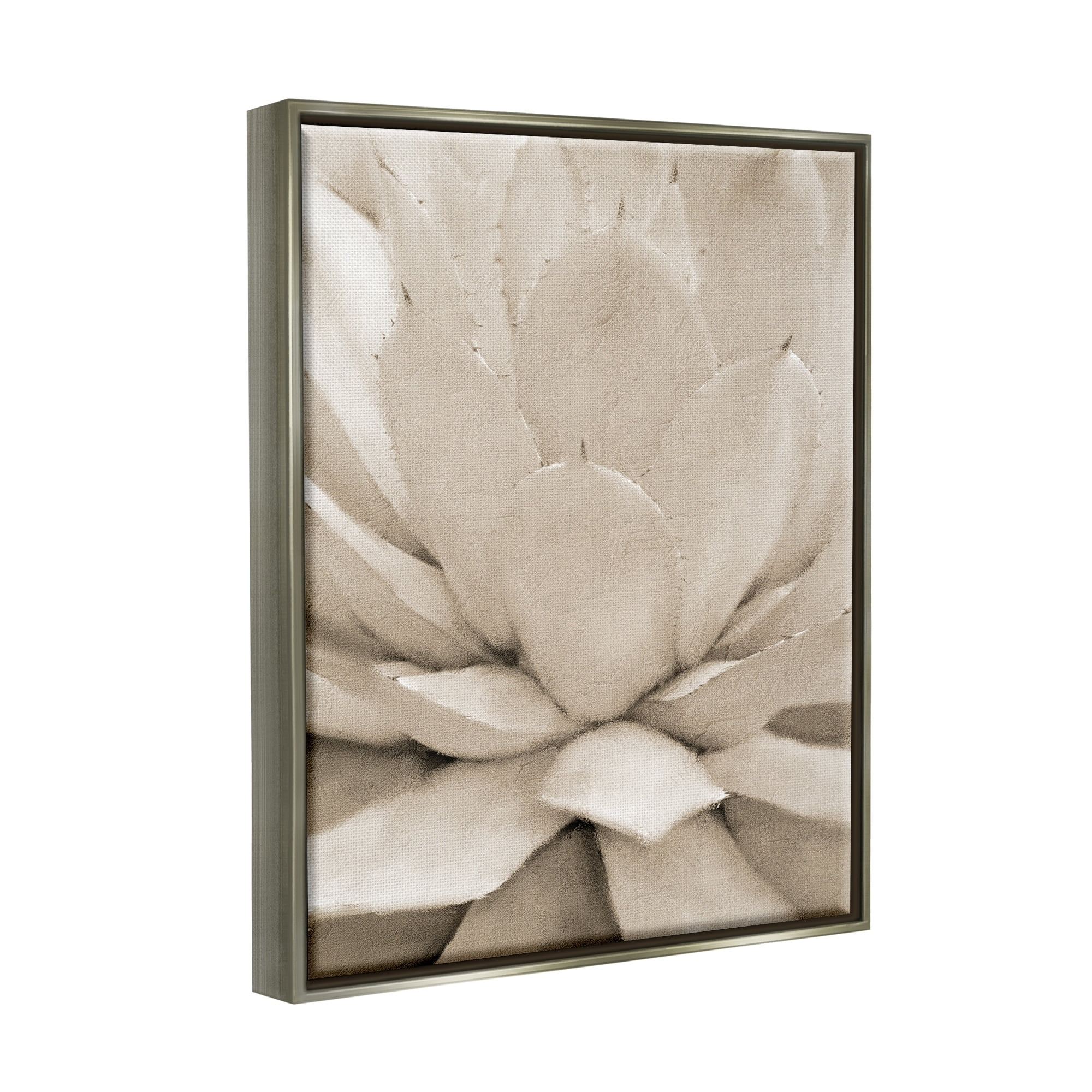 Stupell Industries Prickly Agave Plant Monochromatic Beige Desert Succulent Luster Gray Framed Floating Canvas Wall Art, 16x20, by Kim Allen