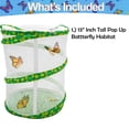 thumbnail image 6 of BESTSKY 2026 New Butterfly Growing Garden Habitat Kit-Pop Up Collapsible Insect&Bug Habitat Net Cage-Caterpillar Garden for Watching Butterfly Metamorphosis-Large 13", 6 of 7