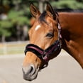 thumbnail image 3 of Equinavia Valkyrie Soft Ultra Fleece Padded Adjustable Breakaway Horse Halter, 3 of 8