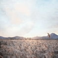 thumbnail image 2 of Allen, Kimberly 12x12 White Modern Wood Framed Museum Art Print Titled - Field, 2 of 4