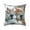 B, variant on Ohmyroo Cute Animals Print Pillow Set 17.7x17.7 Inches Soft Fabric For Bedroom Living Room Sofa Cushion Decoration