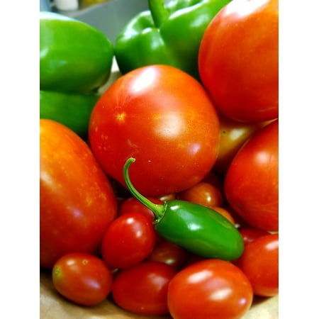 Tomato Jalapeno - LAMINATED POSTER Vegetables Tomato Green Food Red Pepper Jalapeno Poster Print 24 x 36