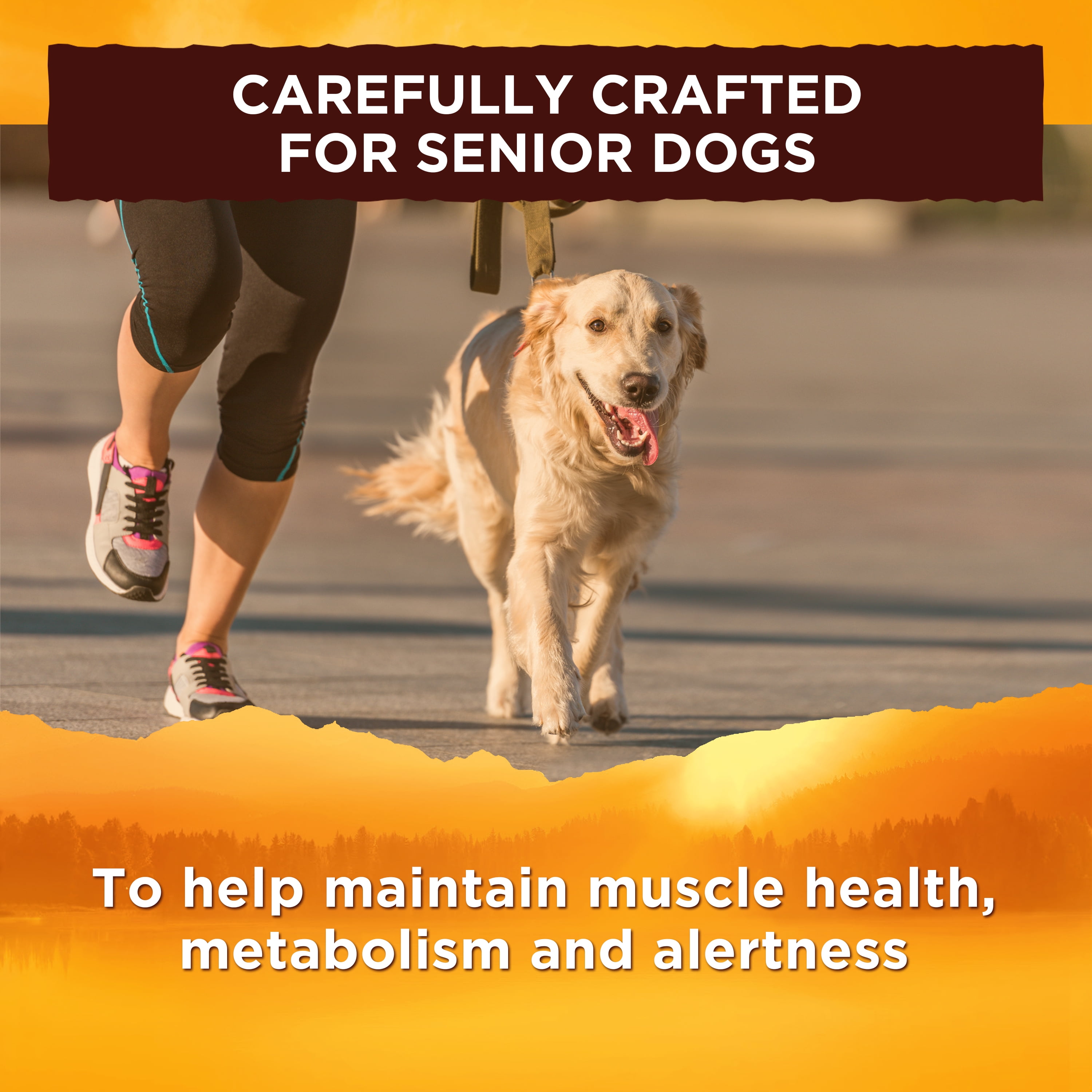 nature's recipe senior lamb and rice