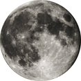 thumbnail image 1 of ZOUSSIQI Non slip Round Mat Sitting Pad Area Rugs Washable Rug Rotray Chair Mat Bedroom 40cm JU316-61446, 1 of 8