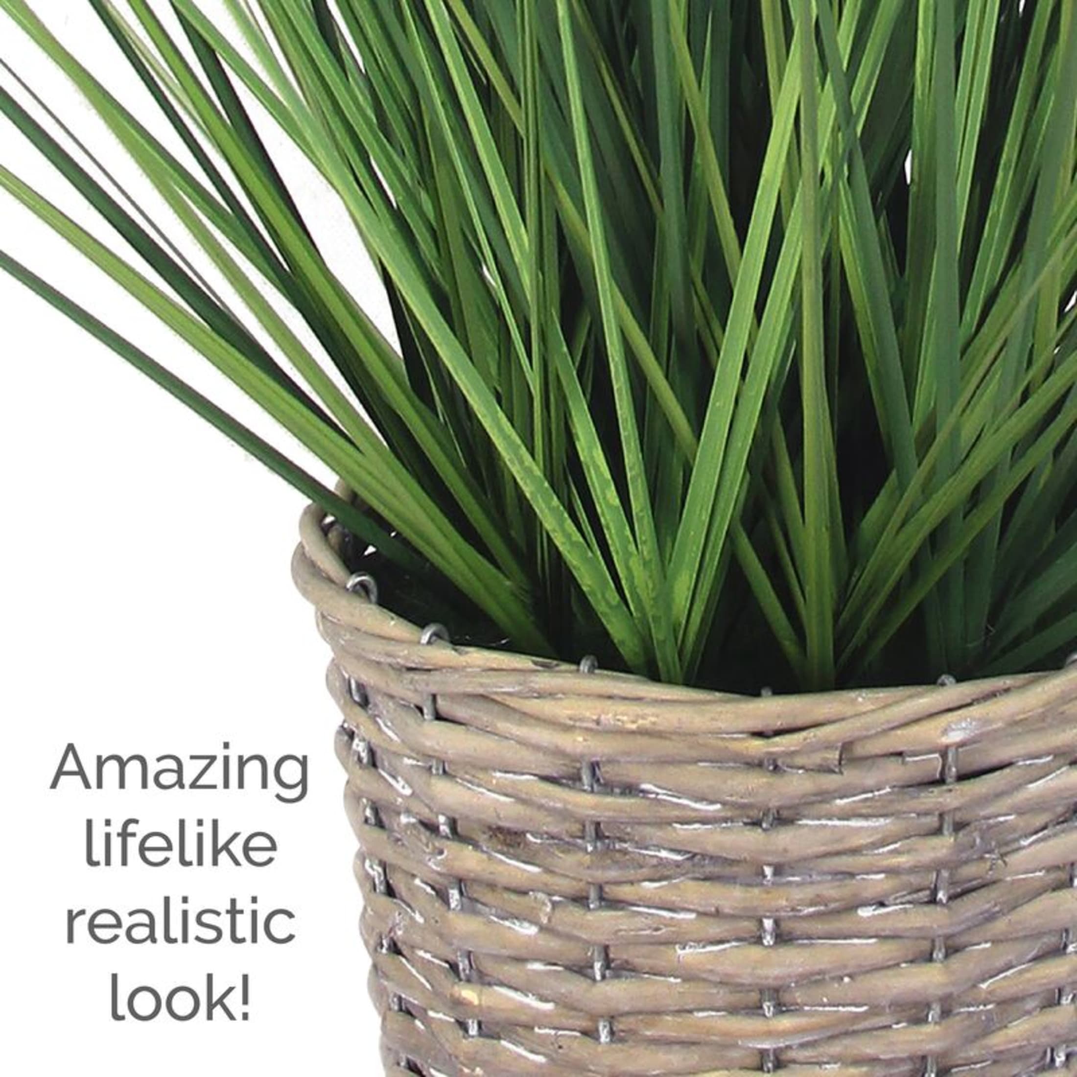 Elements 20-inch Grass in Gray Willow Basket, Green