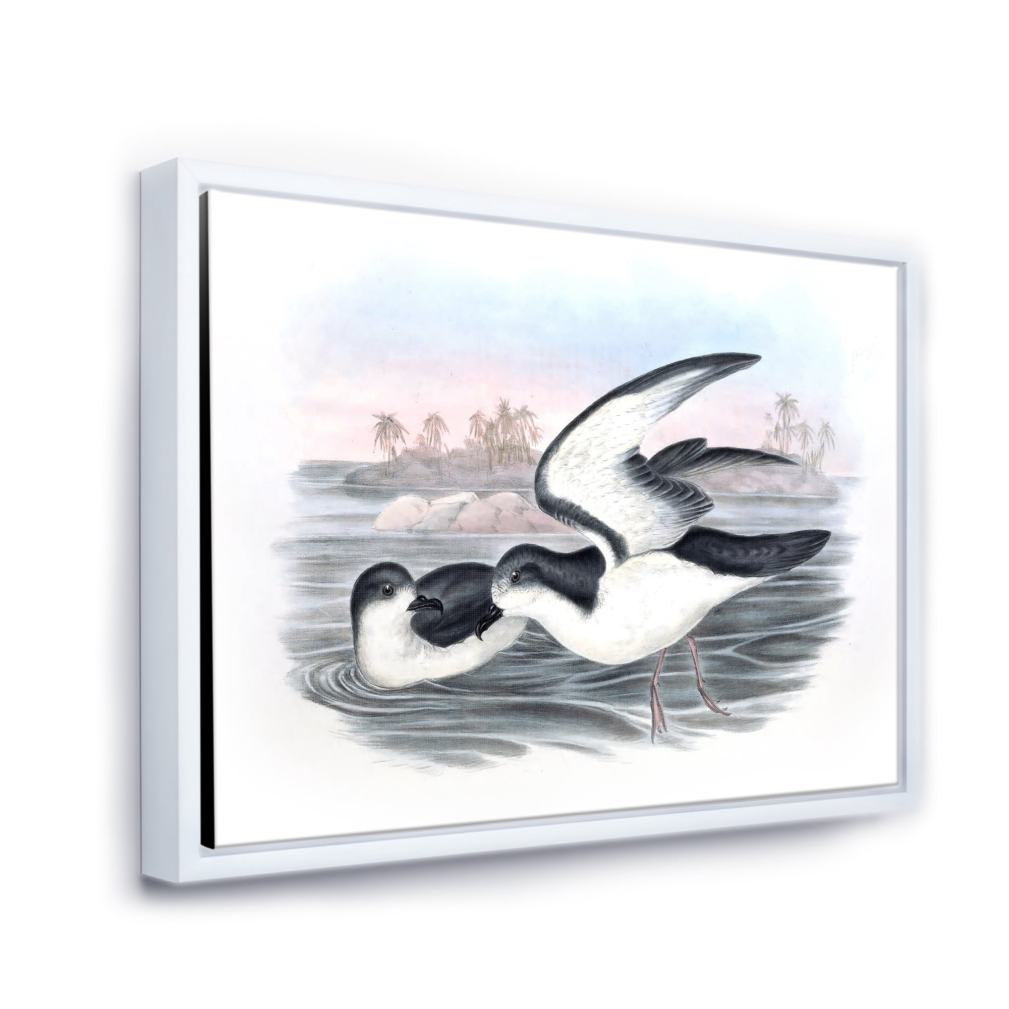 Designart 'Ancient Australian Birds X' Traditional Framed Canvas Wall Art Print