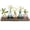 Colorful, variant on Glasseam Set of 5 Colorful Glass Vase Set with Wooden Tray: Small Bud Vases for Flowers Home Decor Centerpiece Wedding Housewarming Gifts Living Room Office Table