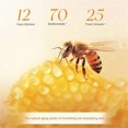 thumbnail image 5 of Honey Lip Oil Moisturizing Hydrating Anti-dry Nourishing Lip Care Lip Balm, 5 of 5