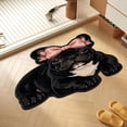thumbnail image 5 of Funny 2D Animal Shaped Floor Mat, Soft Non-Slip Fleece Door Rug for Entryway Bedroom Bathroom, Cute Pet Print Indoor Carpet, 23.6 x 15.12 Inch Multicolor, 5 of 6
