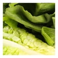 thumbnail image 3 of Lechuga orejona por pieza, 3 of 4