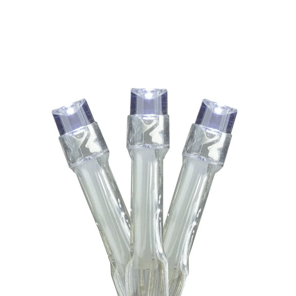 Brite Star b/op 15 lt little lites⢠led, pure white, invisalite wire, 12"x4", total length approx 5.5 ft, 3xaa batteries (not included)