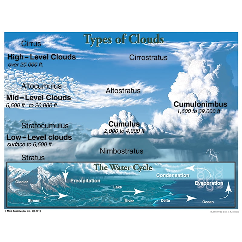 Types Of Clouds Chart | Walmart Canada