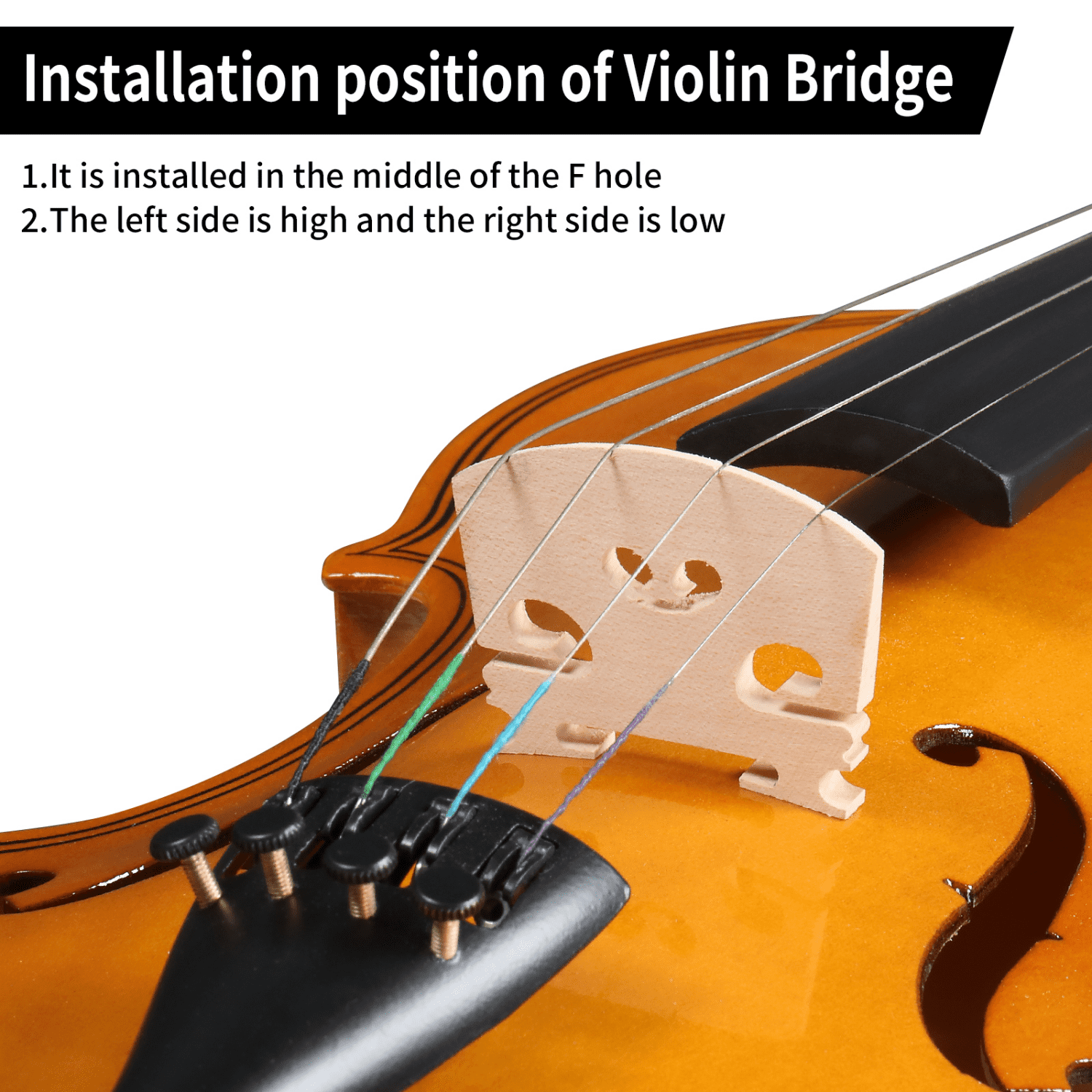 Hassch 4/4 Violin for Beginners, Fiddle with Case, Bow, Rosin, Sordine, Extra Strings and Shoulder Rest, Natural