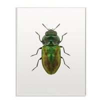 Stupell Industries Beetle Green Yellow Animal Photograph Graphic Art Unframed Art Print Wall Art, 10x15, by Design Fabrikken