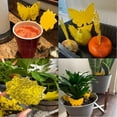 thumbnail image 3 of 36 Pack Fruit Fly Traps for Indoors, Gnat House Indoor, Sticky Fungus Gnats Killer Mosquito and Flying Insects, Bug Pest Insect Catcher Houseplant, 3 of 5