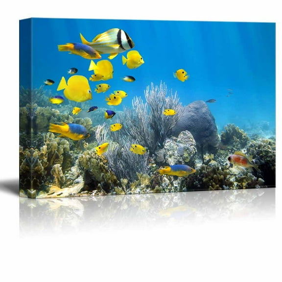 Wall26 Underwater Coral Reef Scenery with Colorful School of Fish - Canvas Art Wall Decor - 16" x 24"