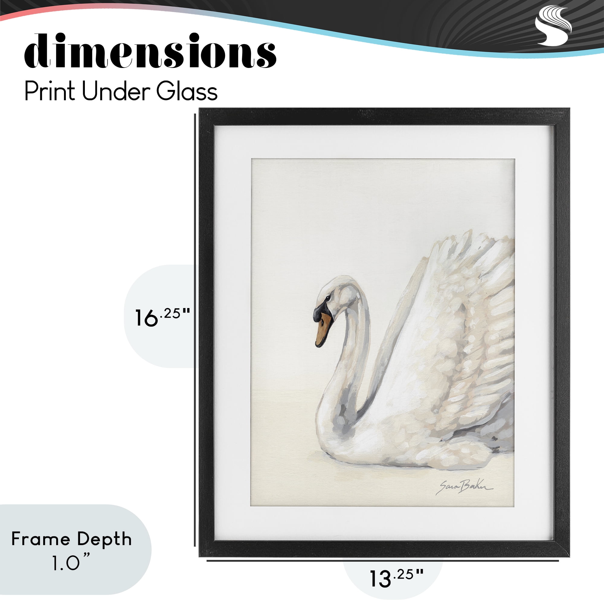 Stupell Industries White Swan in Repose Black Framed Print Under Glass, design by Sara Baker