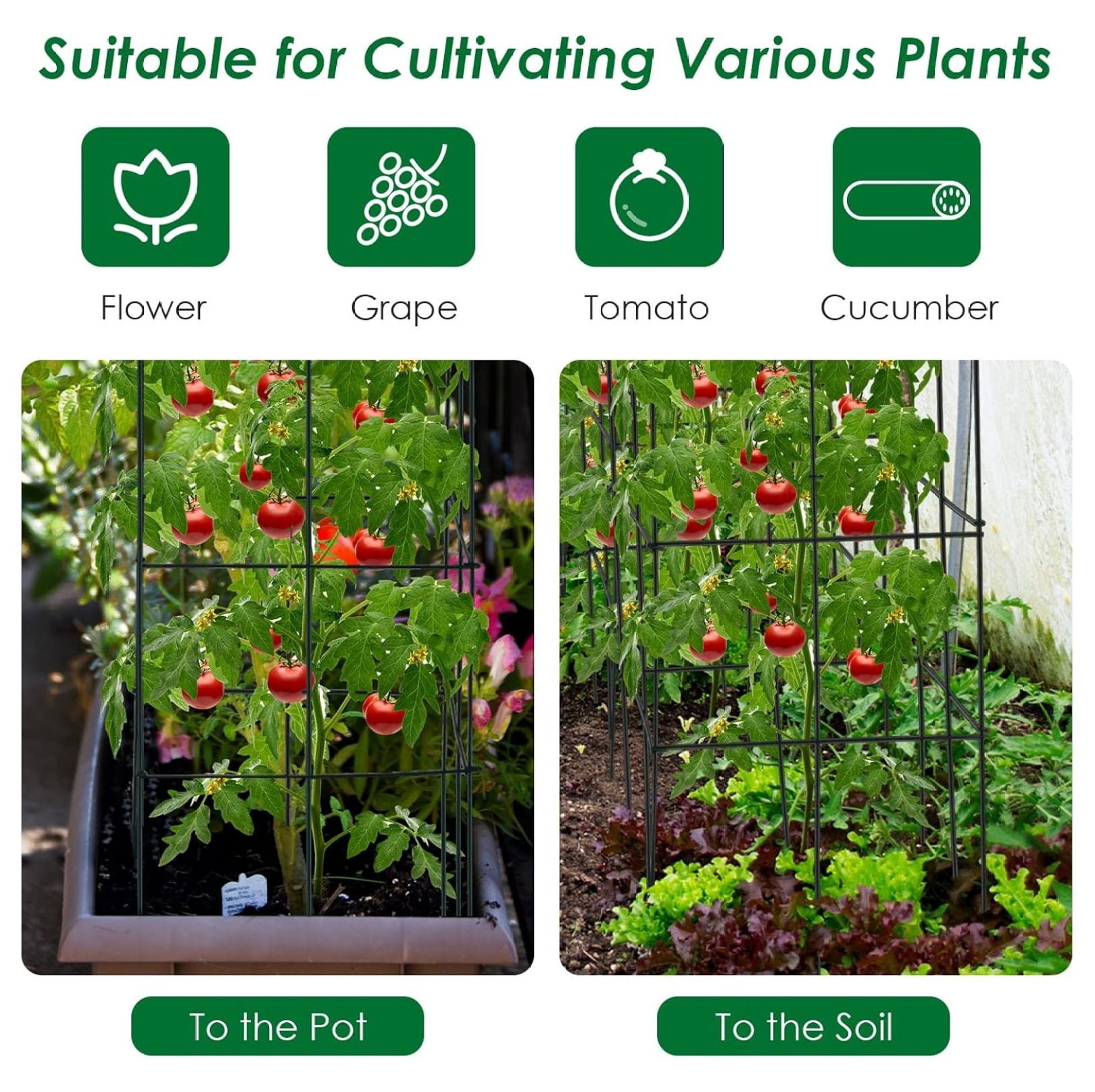 4 Pack Folding Tomato Cages, 39 Inches Tall Square Plant Support Cage for Garden Climbing Plants Flowers Fruits, Heavy Duty Tomato Vegetable Trellis