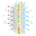 thumbnail image 2 of Large Baby Crawling Mat Anti-Slip & Waterproof Foam Mat for Toddlers and Infants, 2 of 5