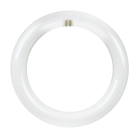 Feit Plug & Play T9 Cool White 1.2 in. G10Q Circular LED Bulb 22 Watt Equivalence 1 pk
