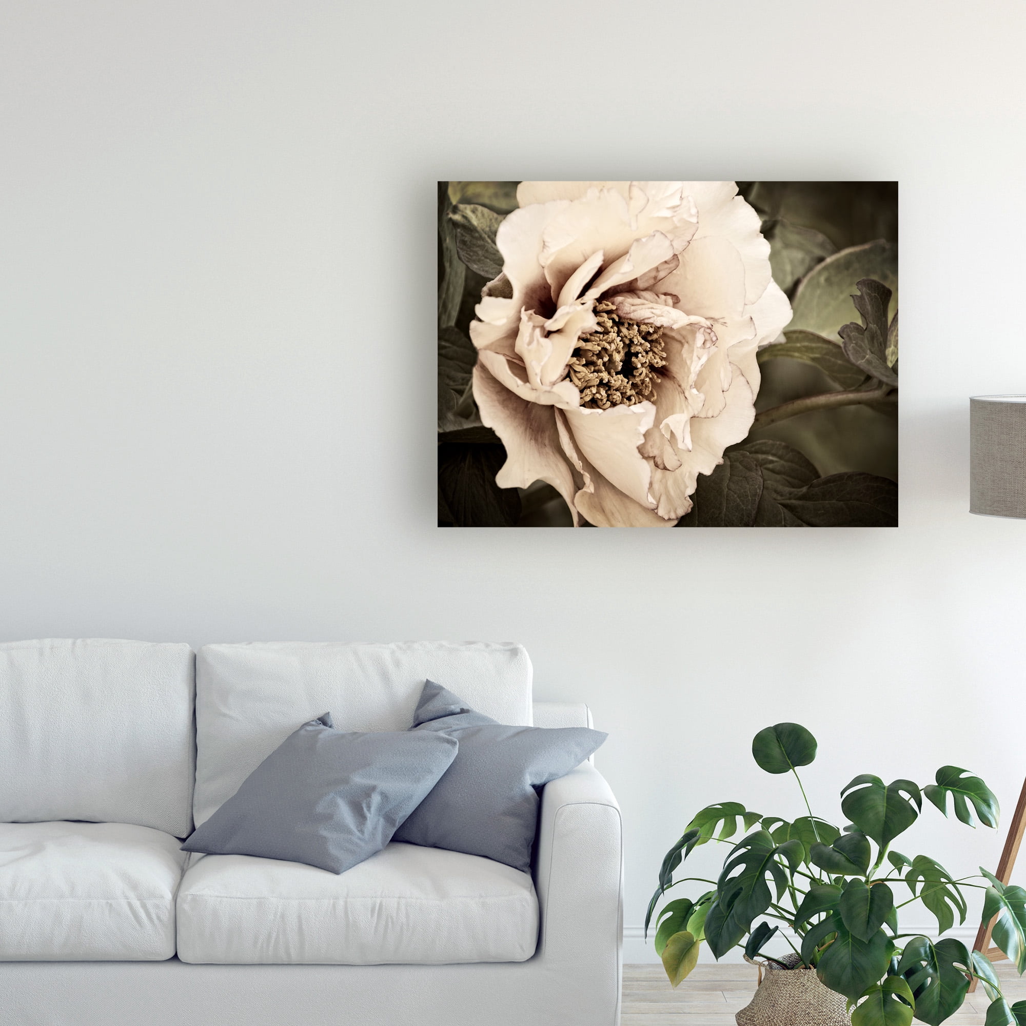 Trademark Fine Art 'Golden Era Peony I' Canvas Art by Rachel Perry
