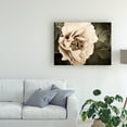 thumbnail image 3 of Trademark Fine Art 'Golden Era Peony I' Canvas Art by Rachel Perry, 3 of 4