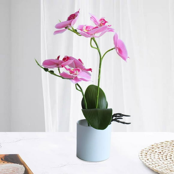 asddcavvf Phalaenopsis Bonsai Flowers Phalaenopsis Bonsai Flowers Wisteria Hanging Flowers