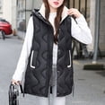 thumbnail image 2 of HAPIMO Womens Puffer Vest Sleeveless Zip Up Quilted Coat Stand Collar Gilet Jacket with Pockets Cotton Hoodie Black L, 2 of 9