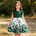 thumbnail image 2 of Weebloom Little Girls' Summer Dresses Flutter Sleeve Print Color Sleeveless Ruffle Dress With Pleated Detail Elegant Party Gown Dress For Girls Green 5-6 Years, 2 of 9