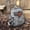 Gray, variant on New Backpack Japanese Style All-matching Casual Large Capacity Lightweight,Khaki