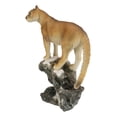 thumbnail image 5 of Pacific Giftware Realistic Big Cat Cougar on Rock Resin Figurine Statue, 5 of 10