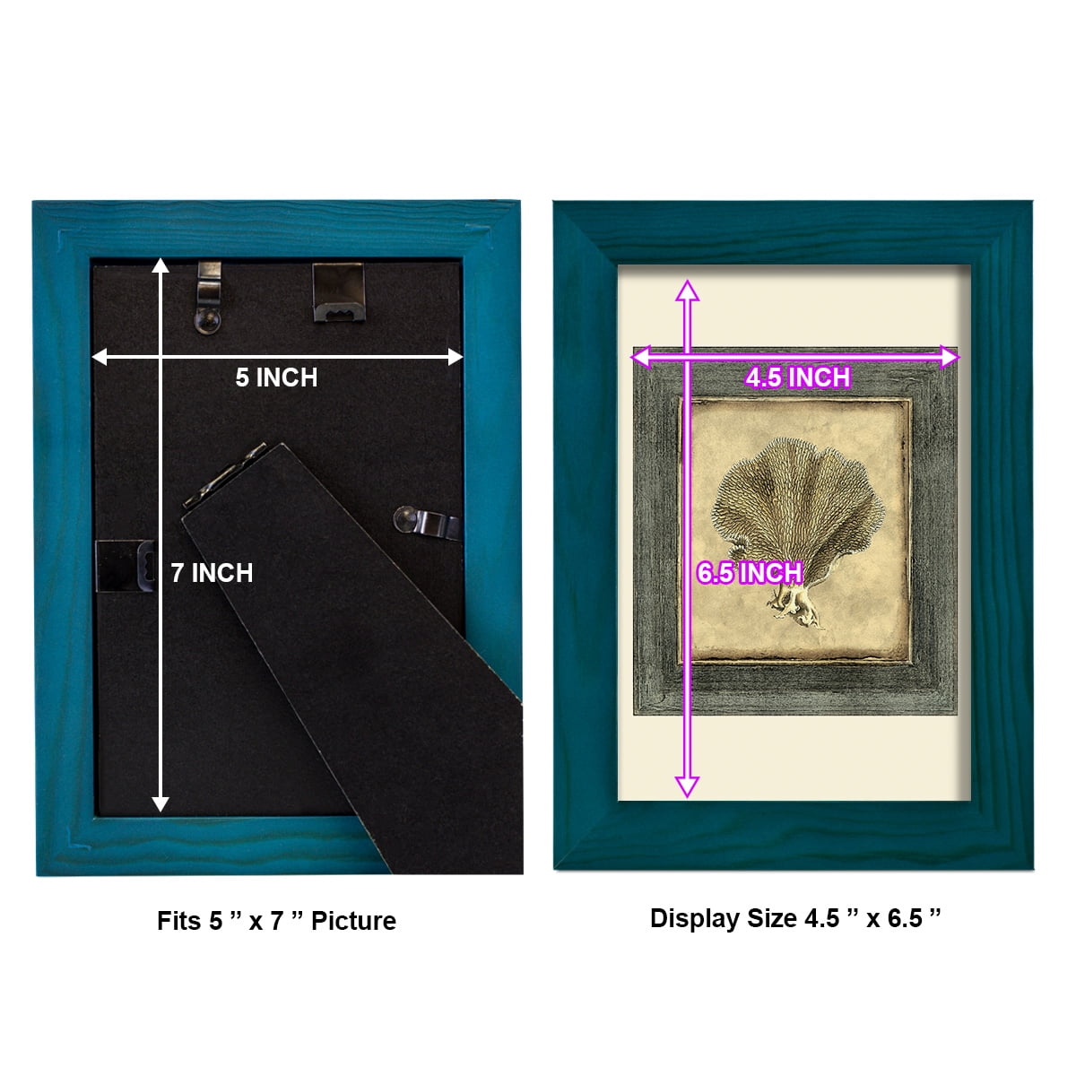 Mini Exotic Coral VI (U) - Framed Print w/glass - Ocean Blue