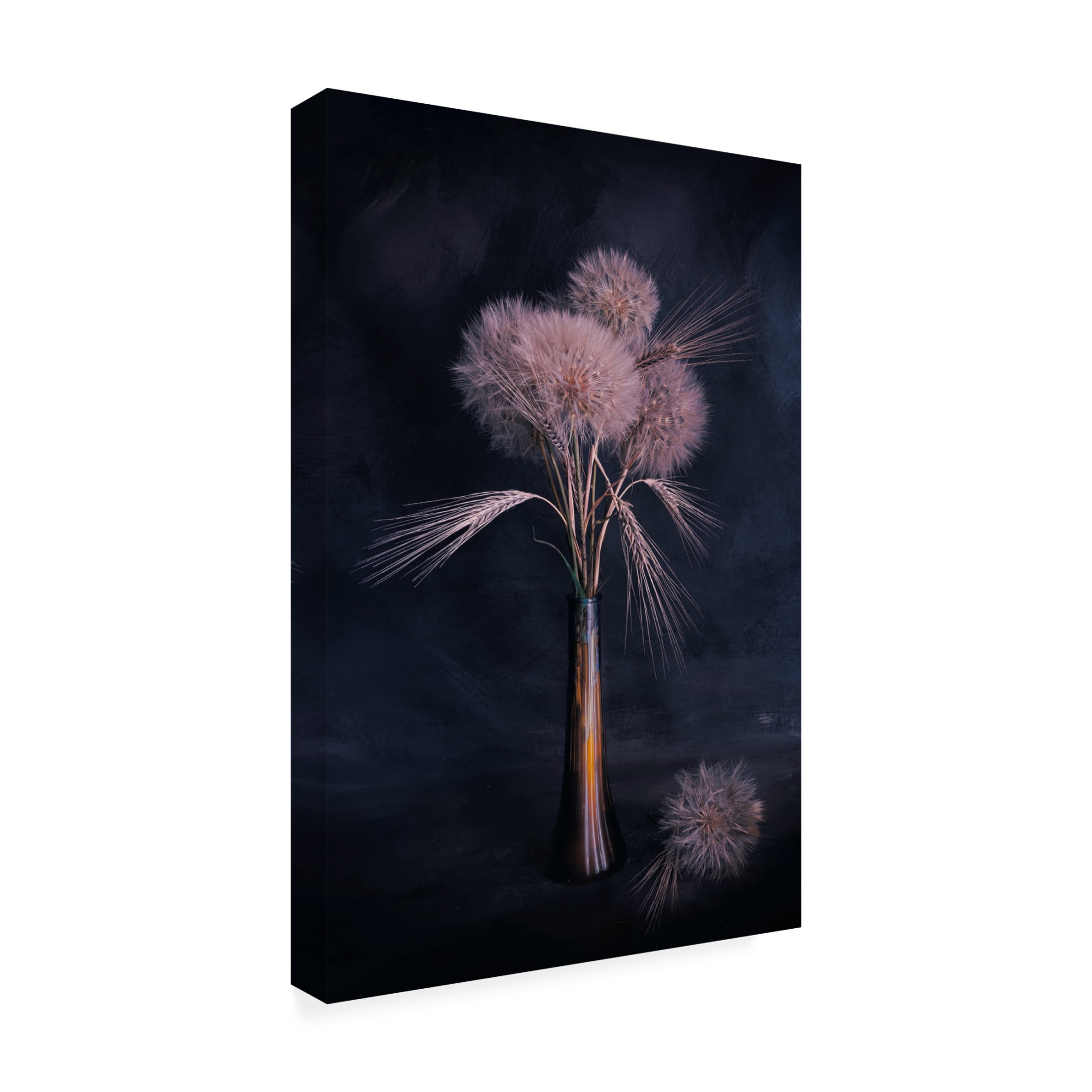 Canvas Wall Art - Cicek Kiral 'Evening Is Close' Wall Art for Living Room, Bedroom, or Office Décor by Trademark Fine Art - 16 x 24 Inches