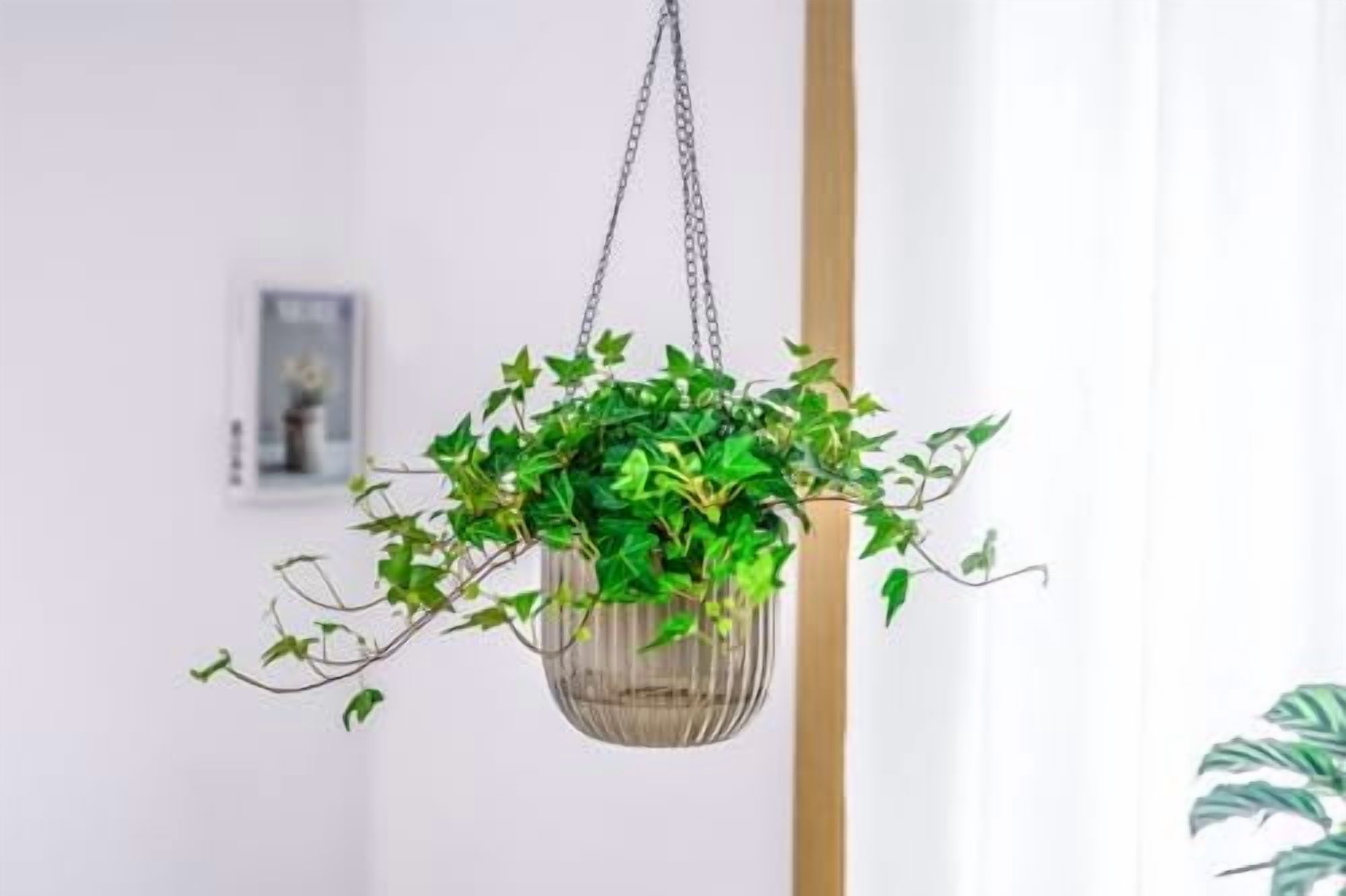 2 Pack Self Watering Hanging Planters Indoor Flower Pots, 6.5 Inch Outdoor Hanging Plant Pot Basket, Plant Hanger with 3Hooks Drainage Holes for Garden Home (Gray)