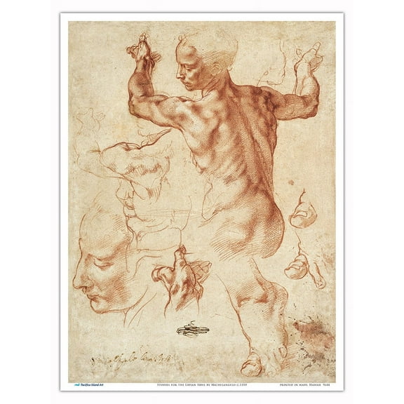 Studies for the Libyan Sibyl - From an Original Red Chalk Drawing by Michelangelo c.1510 - Master Art Print (Unframed) 9in x 12in
