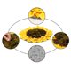 thumbnail image 4 of Alfombra de entrenamiento lavable li wang para mascotas Almohadilla para olfatear perro, 4 of 5