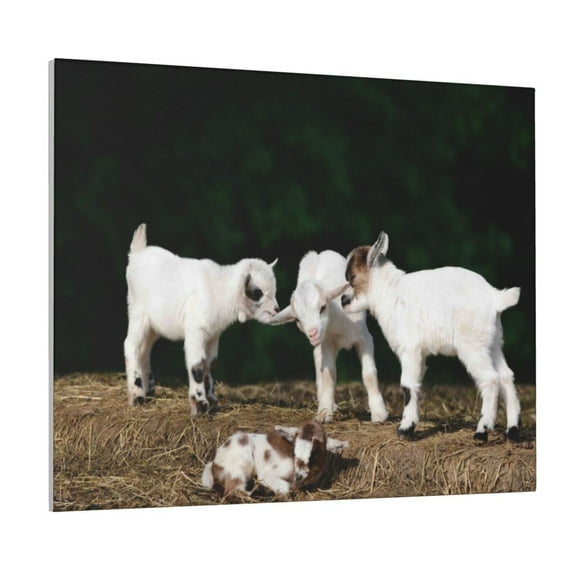 Logiee Cute Goat Baby Print Canvas Wall Art ,Art Poster,Canvas Decorative Picture,Decor Wall Pictures for Living Room Bedroom Bathroom,Ready to Hang