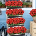 thumbnail image 6 of Zukuco Artificial Flowers for Outdoors, 4 Pack Geraniums Silk Flowers UV Resistant No Fade Faux Flowers Geraniums Bush for Home Outdoor Garden Porch Window Vase Wedding Decor (Red), 6 of 7