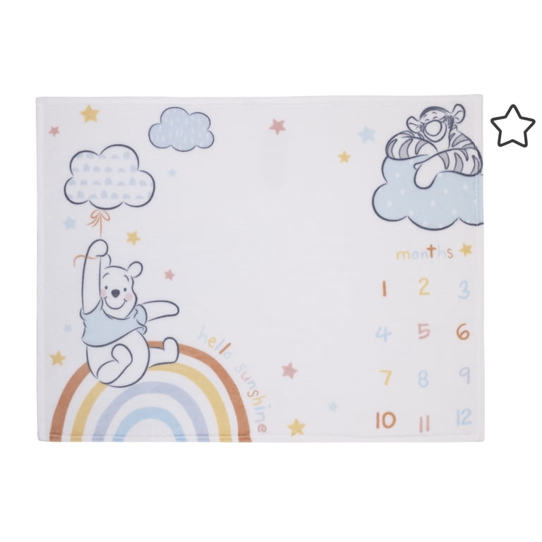 Disney Winnie the Pooh Rainbow Milestone Blanket, 40x50" photo 1